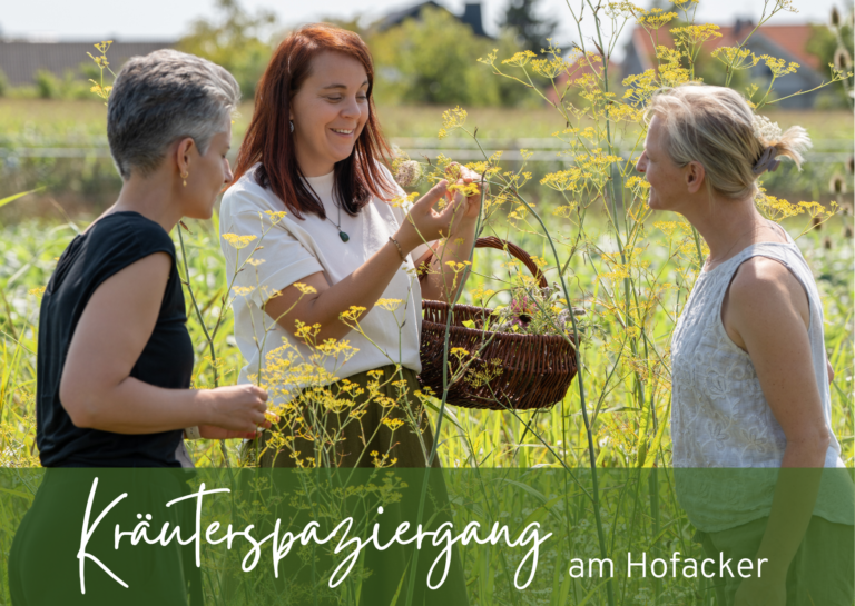 Kräuterspaziergang am Hofacker LLLExtern
