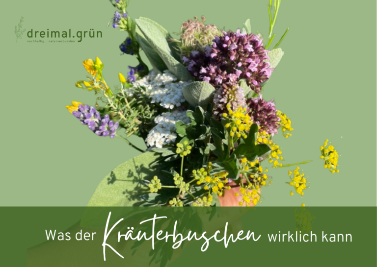 Was der Kräuterbuschen wirklich kann