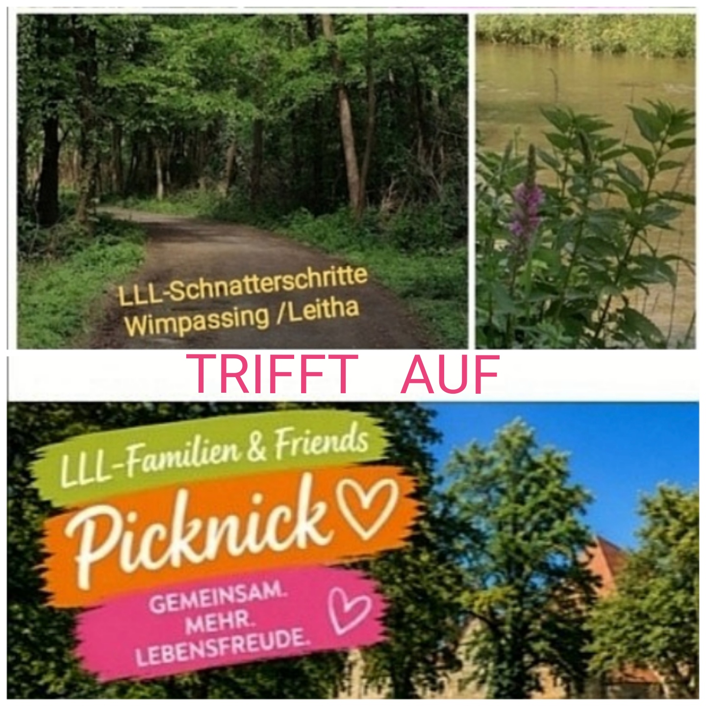 Picknick/Schnatterschritte